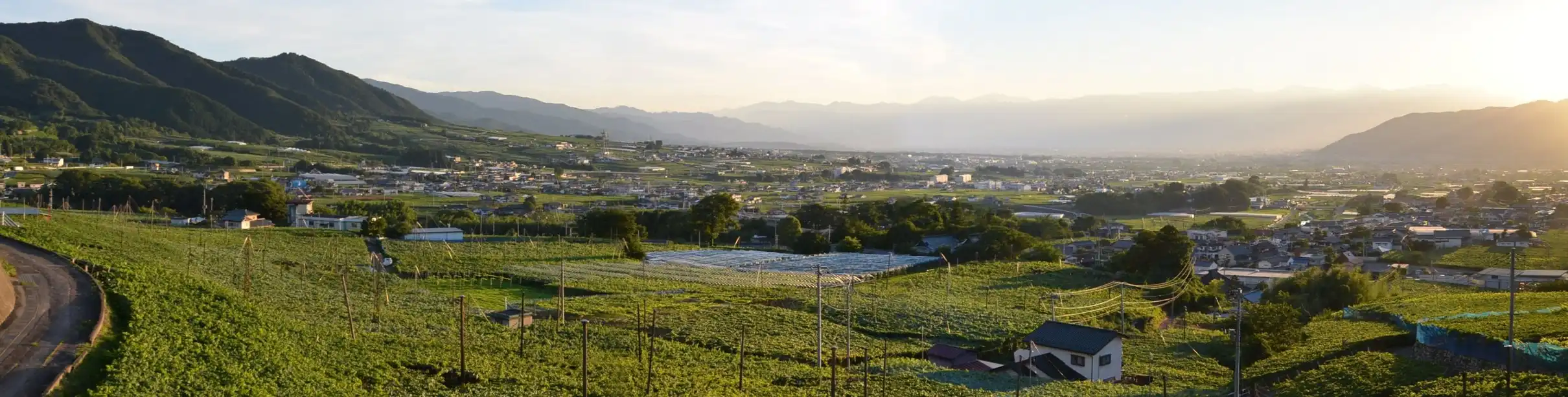 都市・地域計画部の様子