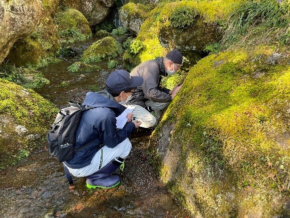 苔庭での調査の様子