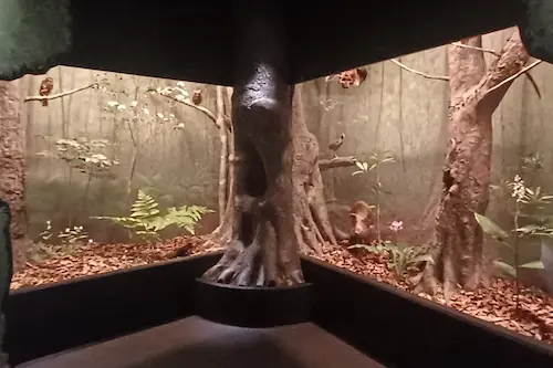 展示:ジオラマ